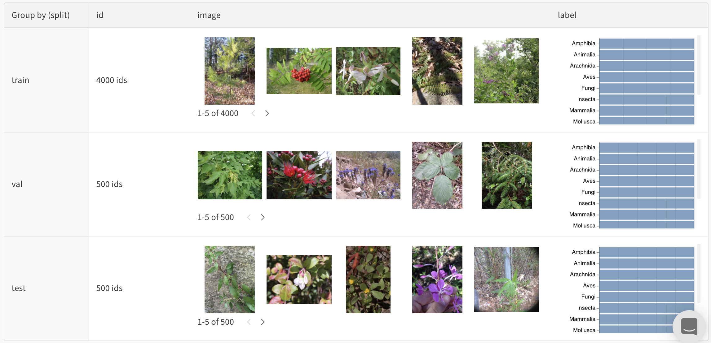 例を閲覧し、データのカウントと分布を検証する